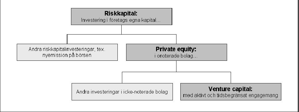 Teoretisk referensram betala ränta. Riskkapital är inget lån utan fungerar som en investering där investeraren oftast erhåller en ägarandel i företaget som motprestation (ibid).