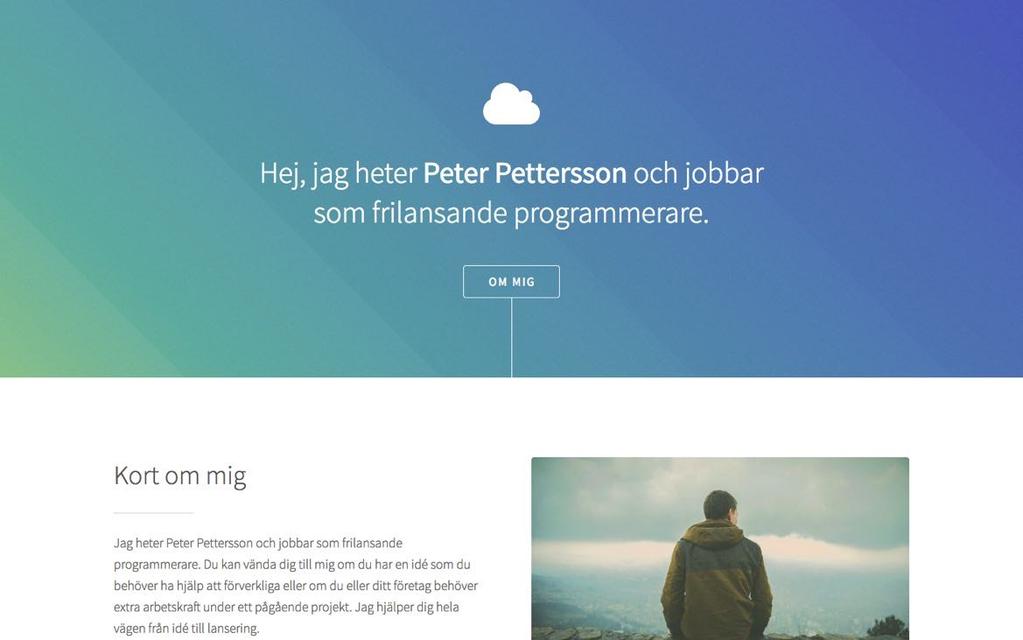 Figur 3 En skärmdump av webbplatsen innehållande information om en fiktiv frilansare.