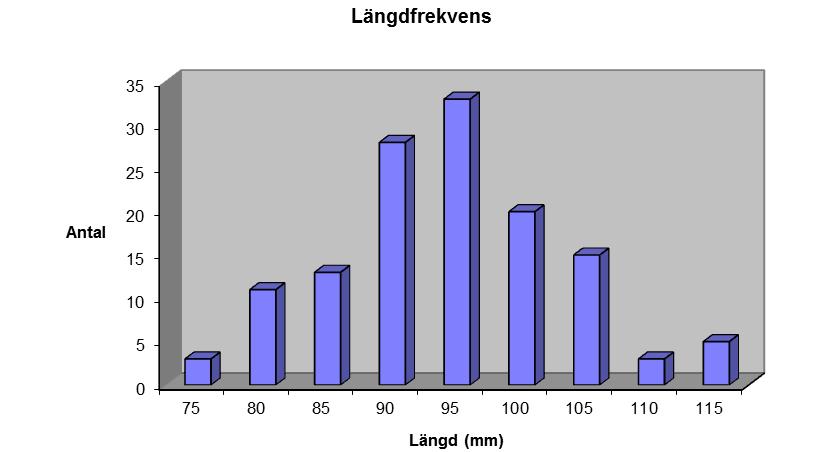 Tabell 5. Kräftfångst vid provfisket i Kvarnbäcken nedre 2011.