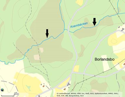 Elsabosjön Xkoord Ykoord Kommun sjöyta (ha) Medeldjup (m) Oms.