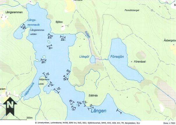 BEDÖMNING En fångst per ansträngning av 0,28 får betraktas som relativt svagt. Fångsten dominerades av hanar (21 12 ).