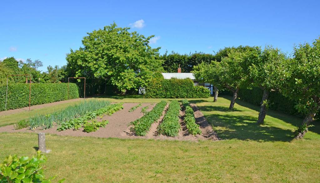 Gårdens omgivningar består av ett vackert böljande odlingslandskap varierat med Romeleåsens skogsområden.