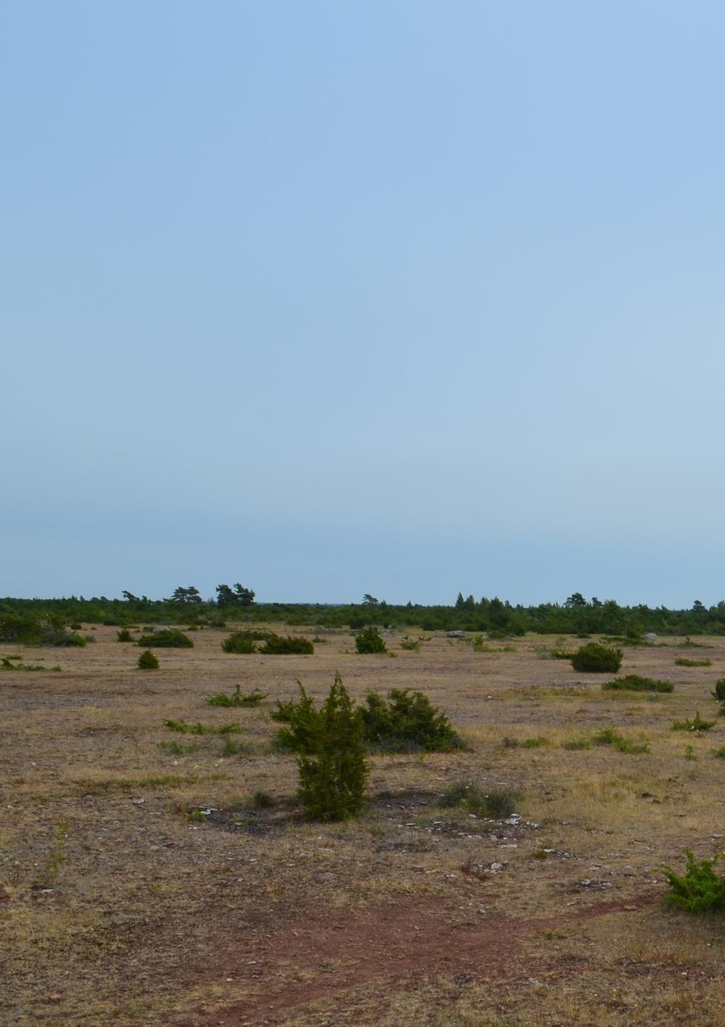 KYRKORNA PÅ ÖLAND Bor man på en ö måste man kunna segla. Läget i södra Östersjön har medfört omfattande kontakter med länderna i söder.