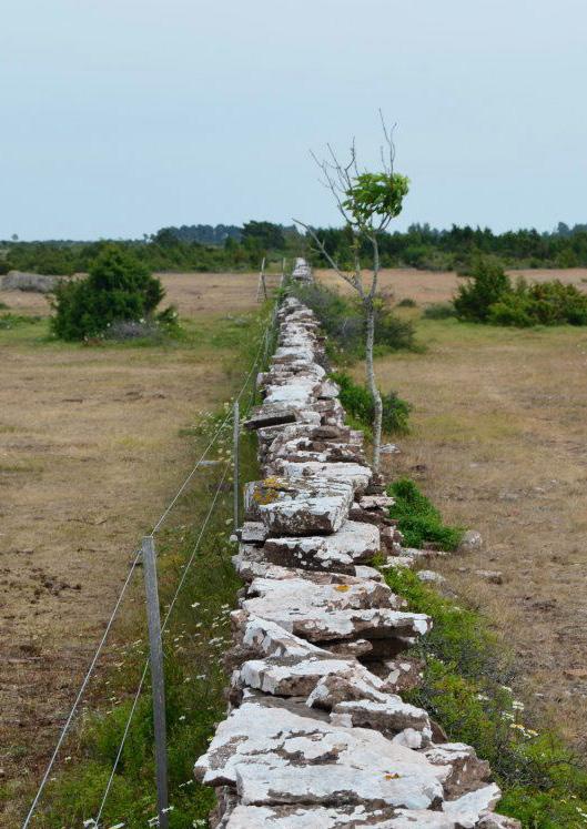 Denna kyrka är en av 19 kyrkor i Södra Ölands pastorat och ligger i