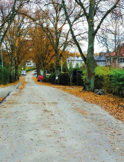 Miljö- och hälsoskyddsnämnd INLEDNING Miljö- och hälsoskyddsnämnden redovisade ett överskott på 0,3 mnkr. Av nämndens nio inriktningsmål uppfylldes samtliga.