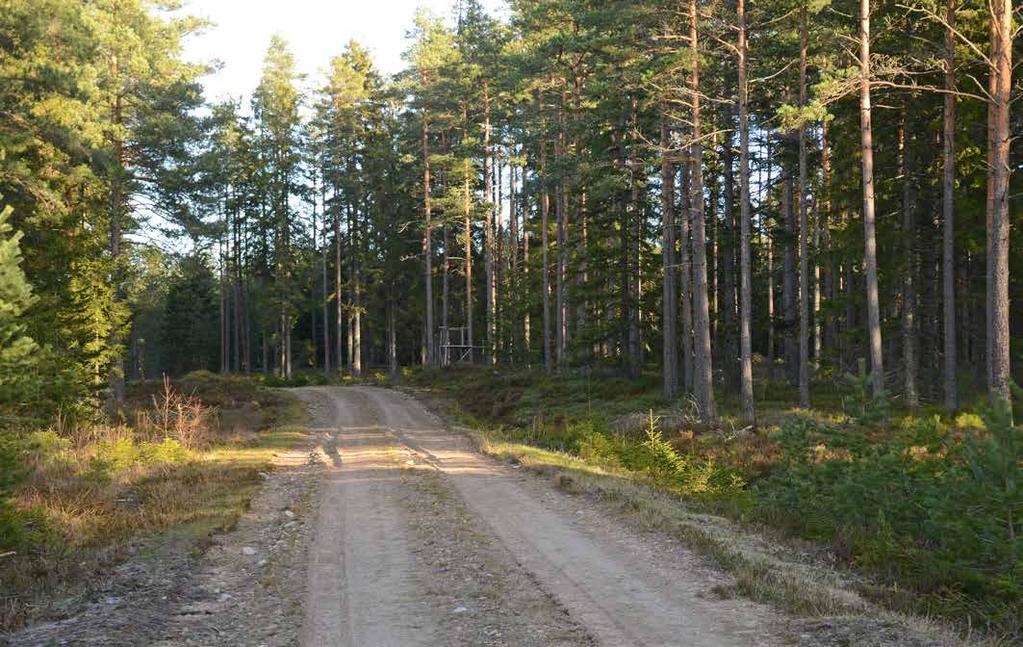 VÄGBESKRIVNING VÄGBESKRIVNING Från Jönköping kör riksväg 40 mot Göteborg. Efter drygt en mil, tag vänster vid avfart mot Angerdshestra. Fortsätt c:a 3 km och tag av vid skylt mot Taberg.