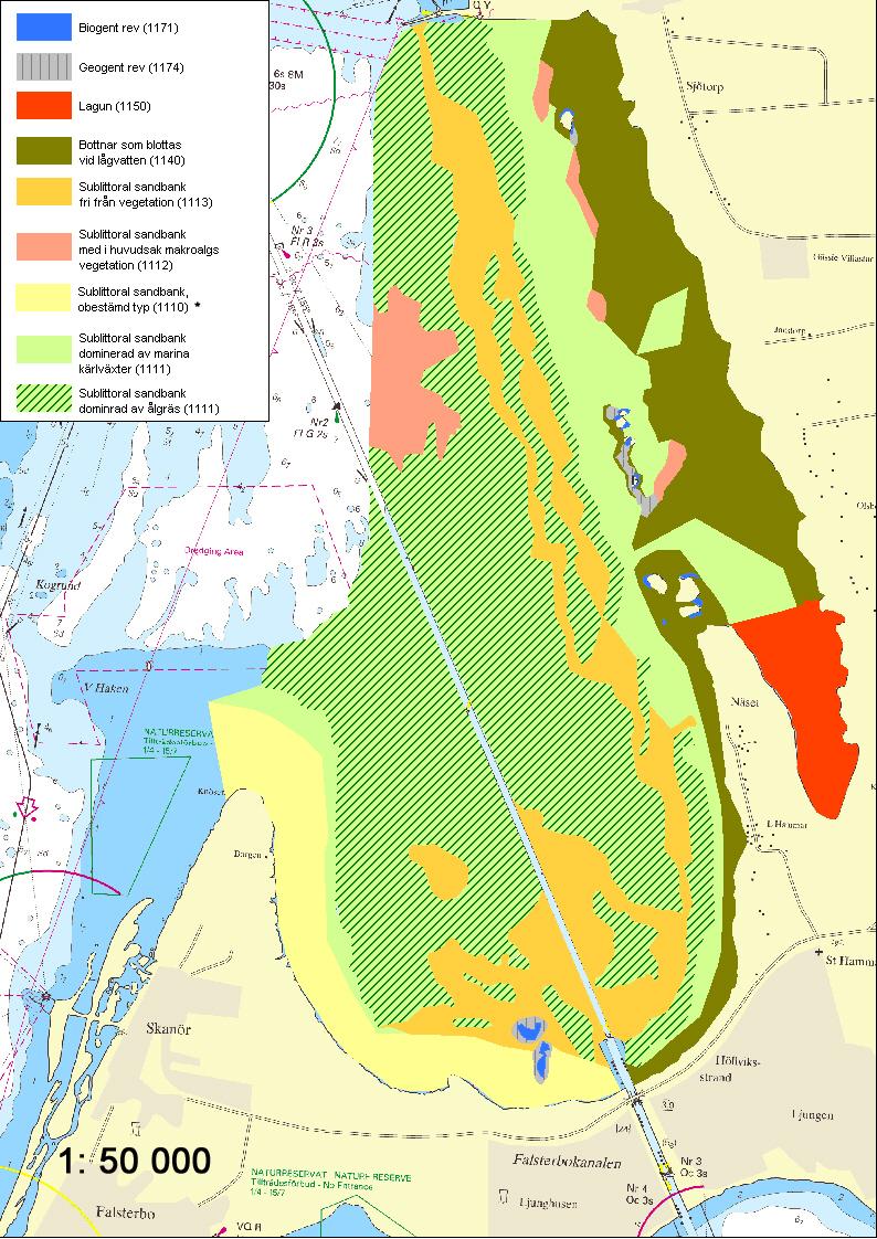 Figur 5. Naturtyper i Foteviksområdet enligt Natura 2000. *Sublittorala sandbankar, obestämd typ (1110) är egentligen sublittoral sandbank med dominerande vegetation av kransalger.