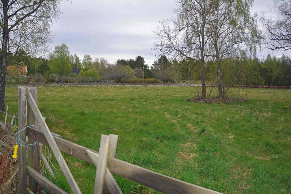 Mönsterås Strömsborg 2:1 och Örnebäck 1:2 Om Skog & Lantbruk Skog & Lantbruk är ett rådgivningsföretag som arbetar med följande tjänster inom jord och skog: - Fastighetsförmedling - Generationsskifte