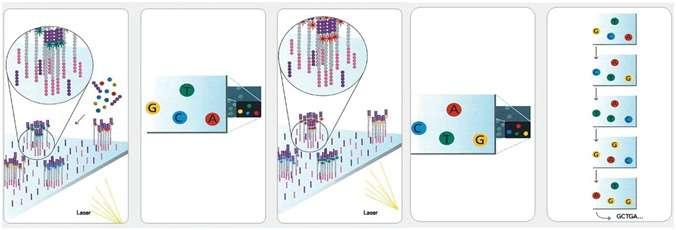 Vad är Next Generation sequencing?