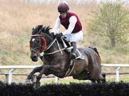 TIPS & RANK Lopp 1 - V4-1 4 Calvados 3 Lindenthaler 7 Good Prince 1 Somerville 6 Taurito 2 Vicody 5 Rosenkönig Svenskt Champion Hurdle har alla förutsättningar att utvecklas till en rafflande