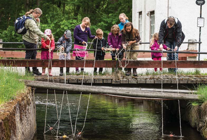 Möjligheter utanför naturum. Ett naturum och dess nära omgivning ska ha ett högt besöksvärde även när naturum är obemannat.