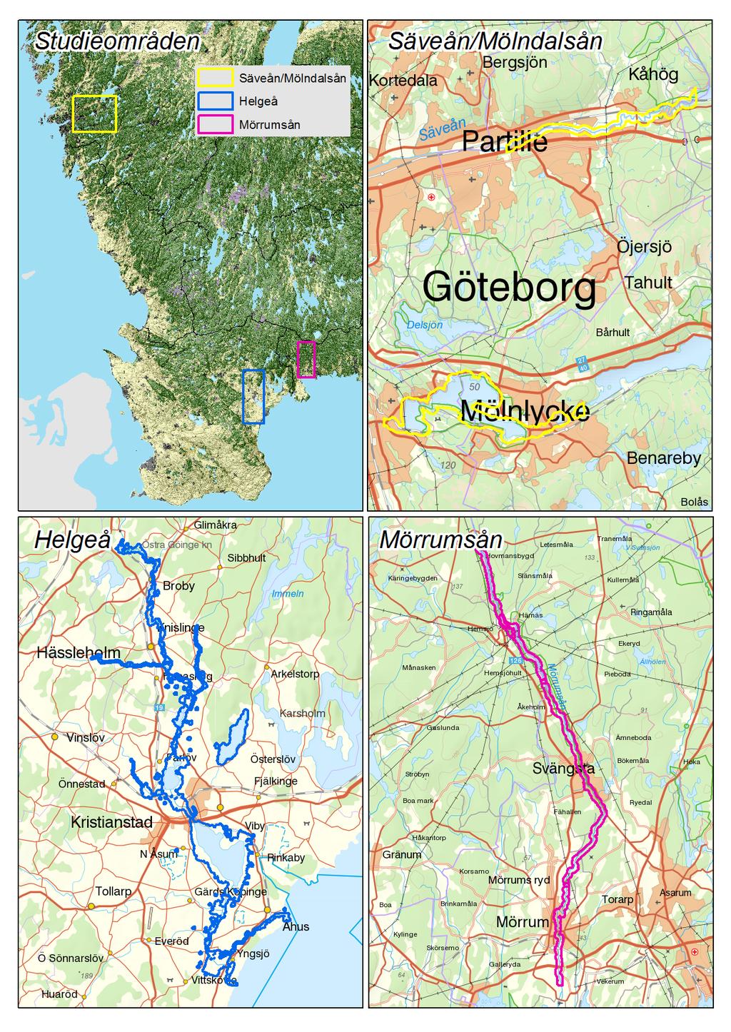 FJÄRRANALYS STUDIEOMRÅDEN OCH INDATA I studien undersöktes tre områden, Säveån/Mölndalsån, Helgeå och Mörrumsån (Figur 3). I dessa är P.