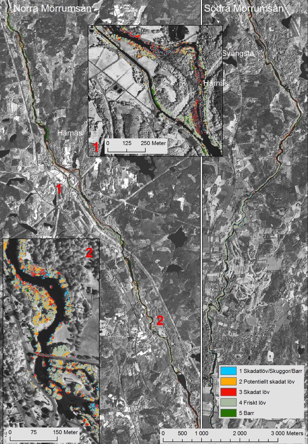 Fjärranalys av skador på al utmed vatttendrag och sjöar 0 125 250 Meter 1 Skadat löv/skuggor/barr 2 Potentiellt skadat löv 3 Skadat löv 4 Friskt löv 5 Barr 0 75 150 Meter 0 500 1 000 2 000 3 000