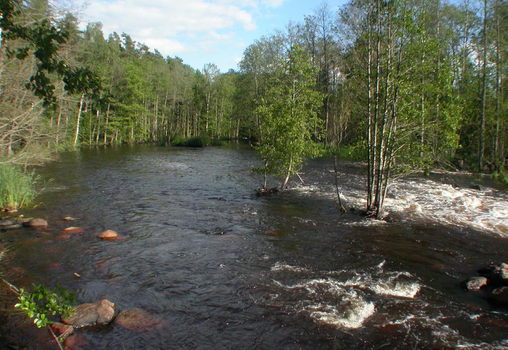 Fjärranalys av skador på al utmed vatttendrag och sjöar Albestånd längs Mörrumsån vid Hemsjö.