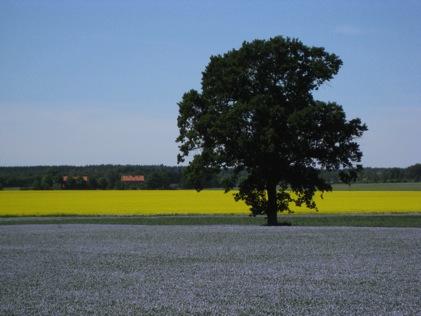 foderkällornas