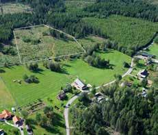 Tillsammans kan vi driva de näringspolitiska frågorna mer effektivt än den enskilde skogsägaren.