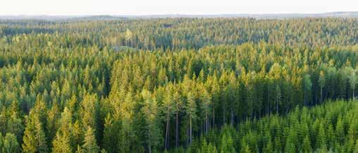 Hållbarhet Ett hållbart Södra Skogen har en nyckelroll i omställningen till ett hållbart, biobaserat samhälle.
