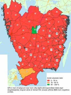 Resultatet från ÄBIN är därför det enskilt viktigaste skogliga faktaunderlaget som ska användas i älgförvaltningen. Södra arbetar på flera sätt för att bidra till bättre balans mellan skog och vilt.