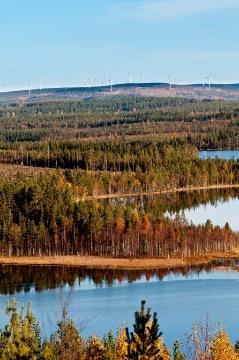 Fler och fler kunder ställer krav på miljöcertifiering och vi har idag god erfarenhet av att driva projekt för att uppnå önskad nivå inom respektive miljöcertifieringssystem.