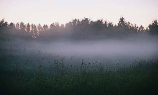 tiderna utnyttjat älvens fallkraft. Gestaltningen inspireras av den omgivande skogens och dimmans mystik.