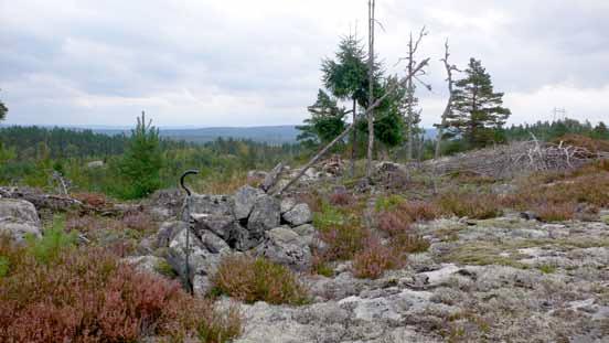 Illustration 12. Exempel på gränsmärke med visarsten från kultur- och naturutredningen. Observera naturmiljön med avverkade ytor. I bakgrunden skymtar elledningen som korsar området.