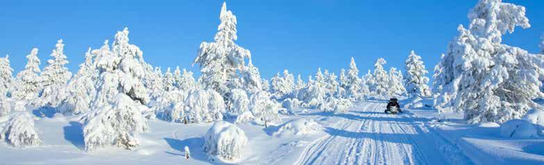 Jokkmokk med buss Ett besök i Lappland under vintertid blir ett minne för livet. Under resan besöker vi bland annat den livliga vintermarknaden i Jokkmokk och det sagolika Ishotellet i Jukkasjärvi.