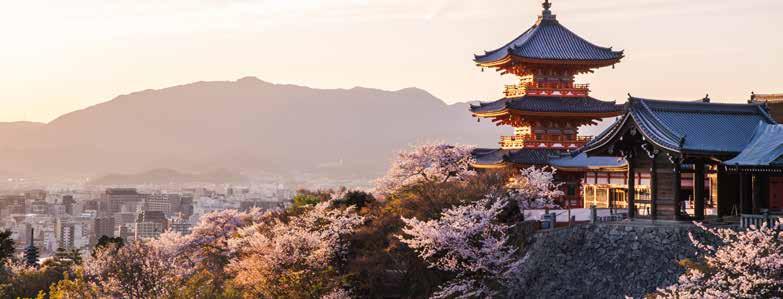 11 dagar 22 975:- Stora Japan med Fuji och Hiroshima Vår större rundresa till Japan innehåller både pulserande stadsliv och natursköna vyer.