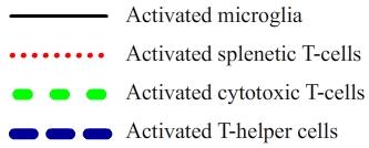 Temporal activation of