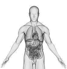 psykeimmunsvar Neuroendokrina förändringar Feber IL-1 IL-6