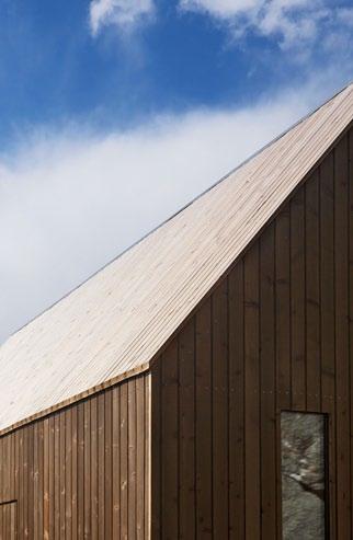 Utskjutande tak- och fasadliv som kan fungera som väderskydd Detaljering