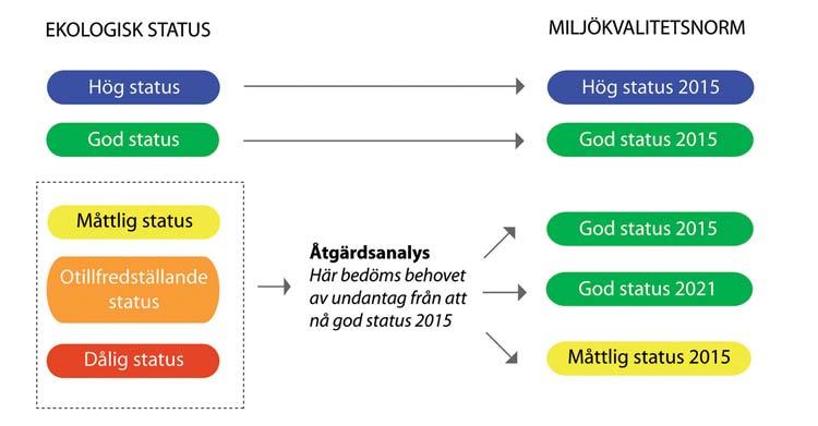 Miljökvalitetsnormer Figur 12. Bilden illustrerar normsättning för ekologisk status för ytvatten.
