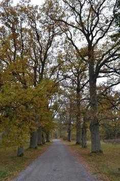 På uppdrag av Uppsala kommun, Mia