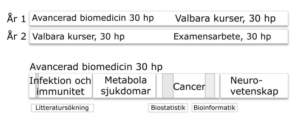 Dnr 513-964-11 Sid 4 (7) Programöversikt Baskurs Baskursen Avancerad Biomedicin 30 hp innefattar fyra huvudområden; infektion och immunitet, cancer, ämnesomsättning, och neurovetenskap motsvarande.