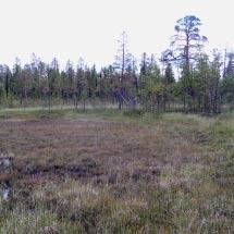 3778 Liekovuomanjärvi Kommun Kiruna Totalareal 228 ha Naturgeografisk region 52a Areal land 219 ha Objektskategori U1 Areal vatten 9 ha Markägare Sveaskog Areal produktiv skogsmark 39 ha Ovanför