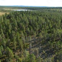 3796 Maejärvi Kommun Kiruna Totalareal 190 ha Naturgeografisk region 52a Areal land 167 ha Objektskategori U1 Areal vatten 23 ha Markägare Sveaskog Areal produktiv skogsmark 45 ha Ovanför fjällnära