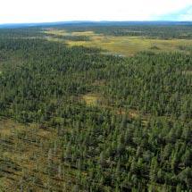 4014 Suopatussölkä Kommun Kiruna Totalareal 3 014 ha Naturgeografisk region 52a Areal land 2 974 ha Objektskategori U1 Areal vatten 40 ha Markägare Fastighetsverket Areal produktiv skogsmark 1 366 ha