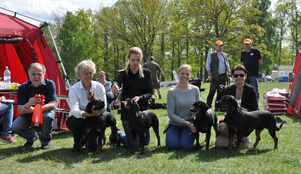 FINALER (BEST IN SHOW) BEST IN SHOW- valp 1. Gonczy polski Duma Z Boreckiego Barlogu, ägare Ewa Johnsson 2. Bosanski ostrodlaki gonic-barak Arri, ägare Andreas Skogh BEST IN SHOW Uppfödargrupp 1.