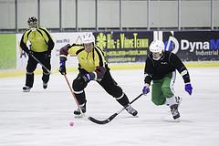 Lagidrott Rinkbandy Årets serie 2015-2016 samlade glädjande 20 lag som spelar en dubbelserie i tre divisioner med start i oktober som pågick in i februari 2016 och följande pristagare gratuleras: