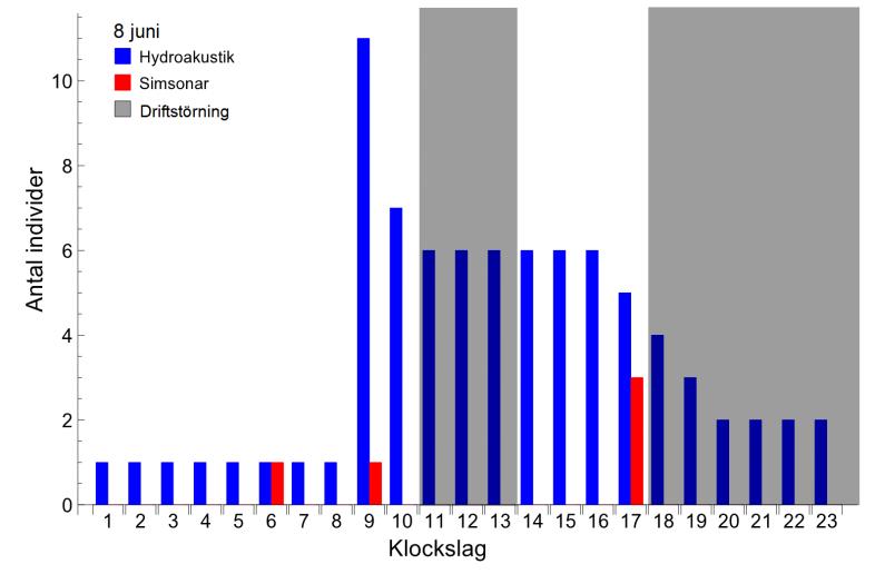 För att få en tydligare bild av aktiviteten vid spilluckorna gjorde Simsonar en analys med en timmes upplösning för de dagar när smoltutsättningarna gjordes.