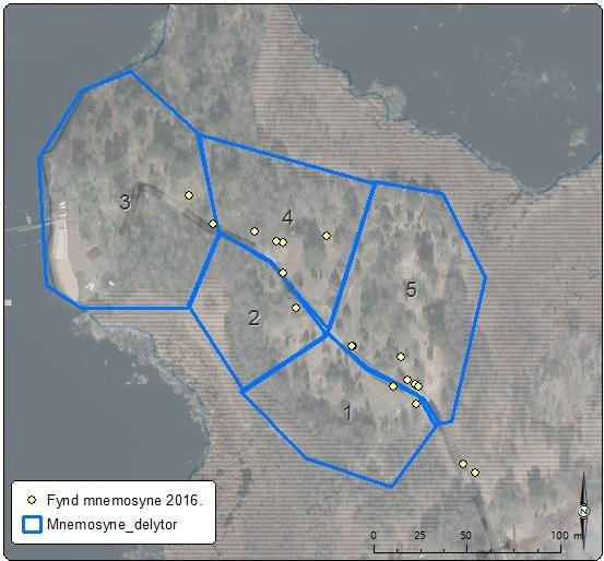 Figur 8 Karta över delytorna och de observerade fynden av mnemosynefjäril vid Trollskär.