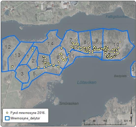 Figur 4. Karta över de observerade fynden från de tre inventeringstillfällena 2016 tillsammans med de framtagna delytorna för Lötaholmen.