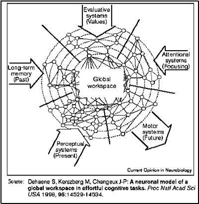 Dehaene & Changeux workspace model Picture taken from http://www2.uni-wuppertal.