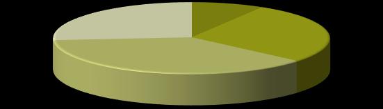 Diagram 4 30 25 20 15 10 5 0 Under perioden 2012-2016 har Lessebo kommun netto investerat för 89,7 mkr varav 33,2 mkr för den affärsdrivande verksamheten vilket motsvarar 37 % och 7,7 mkr (9 %) för