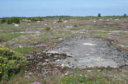 SÖNDAG 23 JULI Tid: 14-17 Hembygdsdag, Mörbylånga Plats: Hembygdsgården Mörbylånga Vi demonstrerar repslageri vid hembygdsgården, där det också serveras kaffe och visas hantverk/konst av