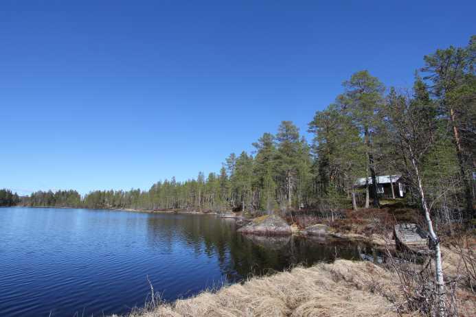 Skogsfastighet strax