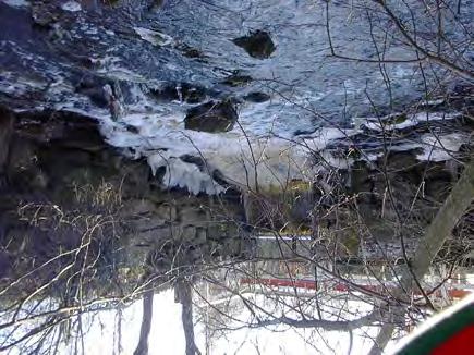 9.2 Avrinningsområde: 52000 Kungsbäcken-Valsjöbäckenn Fiskfauna Vid elfisken 2001 fångades öring, gädda, mört, lake och stensimpa i bäcken.