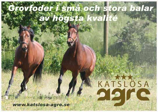 Start 6:6 Bankod 8 b ODDS TVILLING Fyraåringslopp 4-åriga 7.000-0.000 kr. 40 m. Autostart. 4 PLATS Pris: 0.000-.000-.00-8.000-.00-(4.000)- (4.000) kr. Hederspris till segrande hästs ägare.