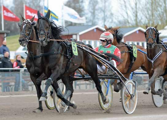 Start 6:8 LOPP 9 Bankod 8 b ODDS TVILLING Yngve Larsson s Memorial -åriga och äldre lägst 00.000 kr. 640 m. Autostart. 0 startande. PLATS Pris: 00.000-0.000-.000-.00-8.00- (.00)-(.00) kr.