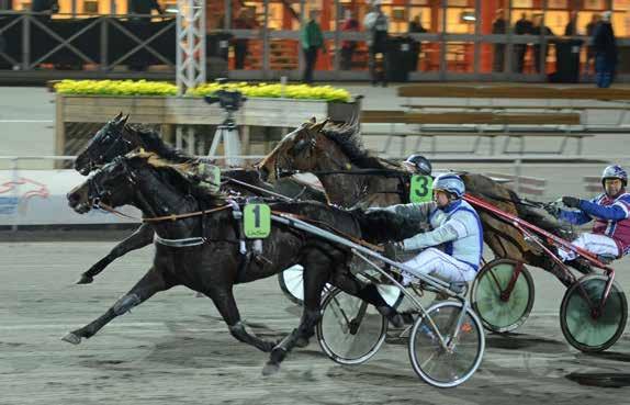 Totalt tjänade hästen mer än.000 kronor vid dessa två segrar. Juryn: Jeanette Daresjö, Dag Ekner, René Jensen, Patrik Nygren och Ingrid Rasmusson.