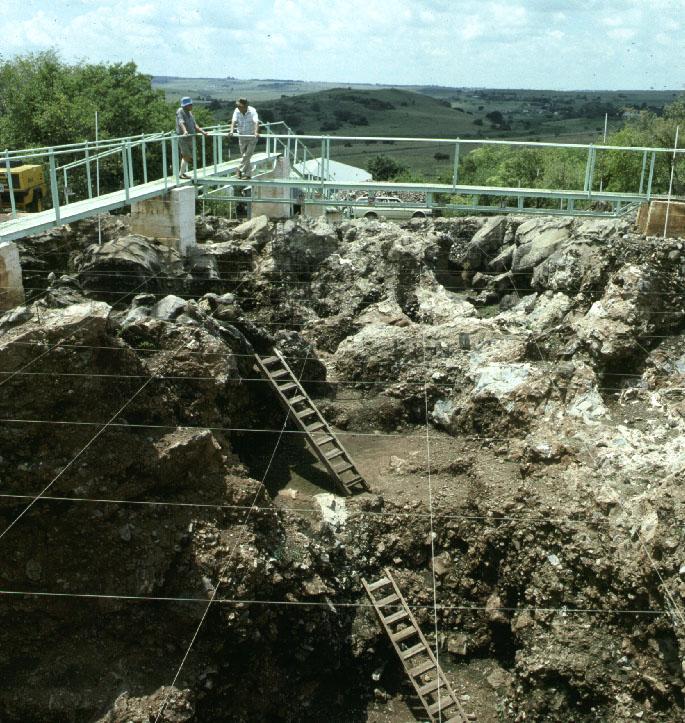 Här har man sedan 1930-talet gjort mängder av fossila fynd av tidiga hominider och nyligen hittade forskarna fossiliserade rester av en primitiv människoart Homo Naledi som sannolikt levde